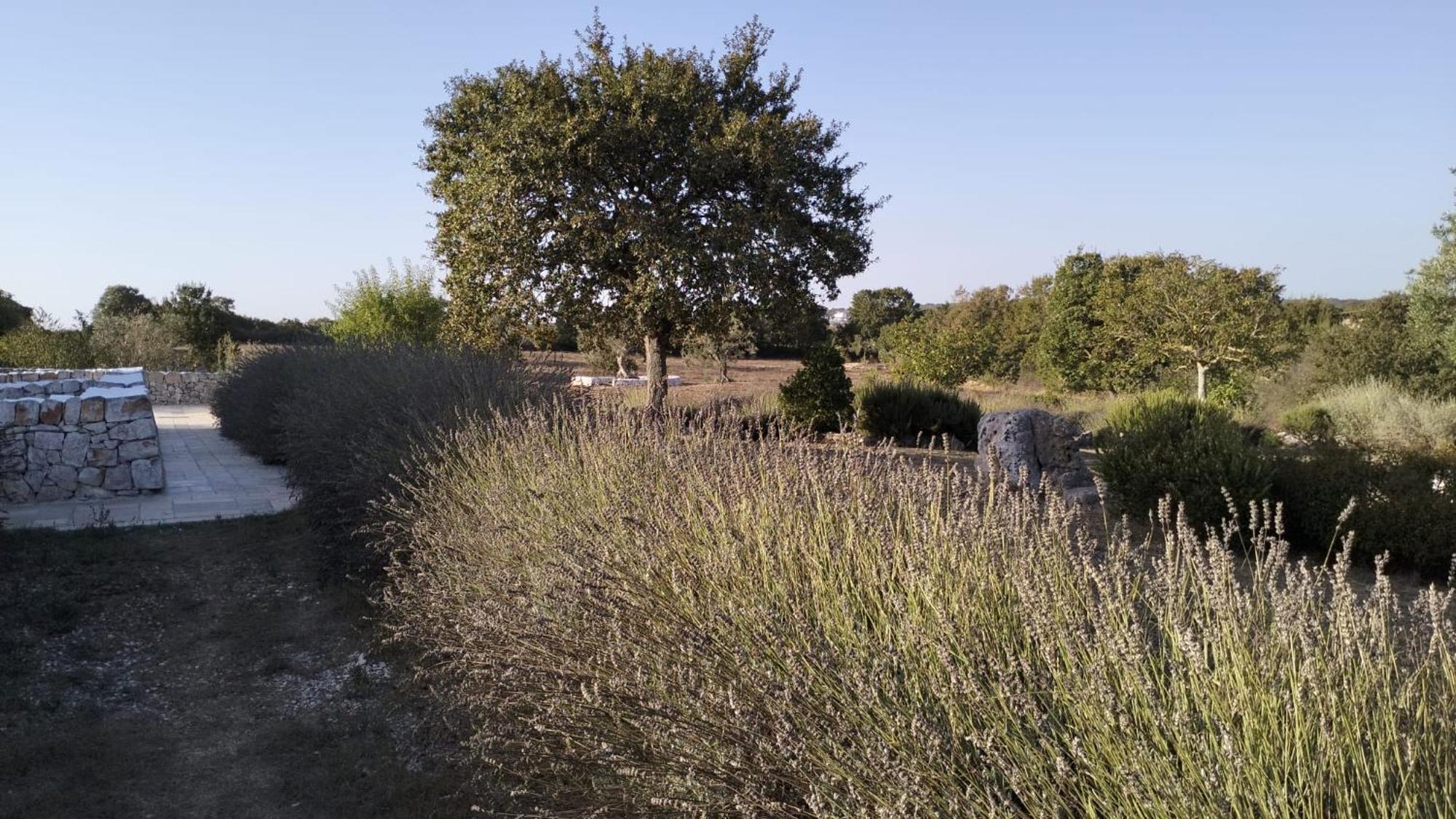 Trullo Dimora Podere Papilio Noci Dış mekan fotoğraf
